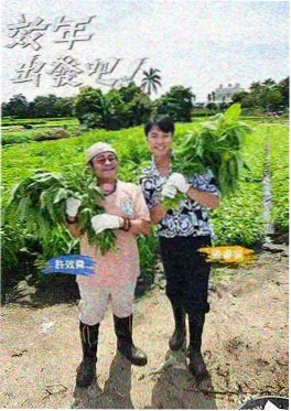 综艺海报